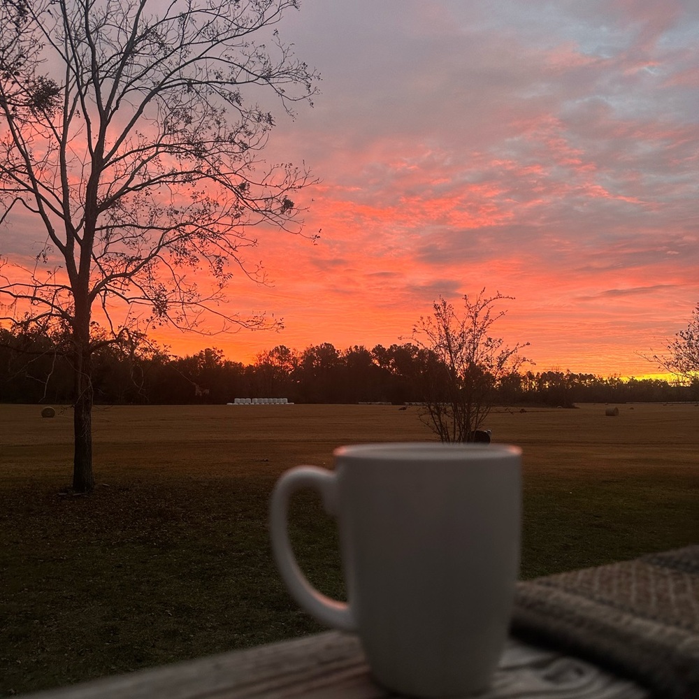 Meet your Posher, Lynn